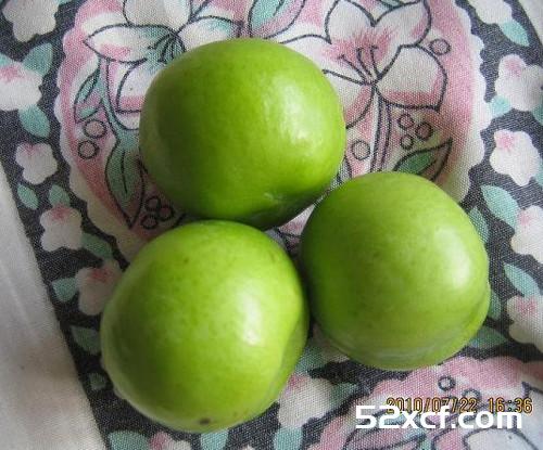 青李子的功效与作用