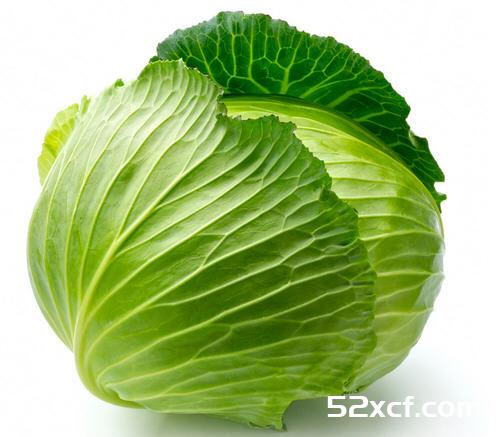 包菜的功效与作用及食用禁忌