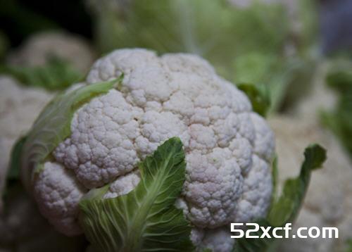 烫花椰菜营养流失77%？七抗癌蔬菜这样煮营养全保留
