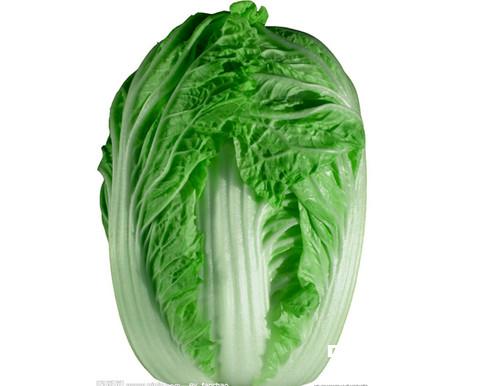 大白菜的营养价值和功效