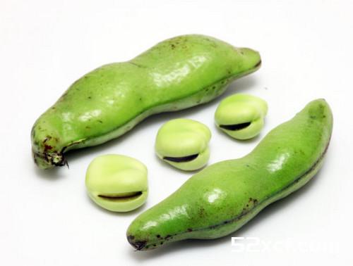 蚕豆的营养价值