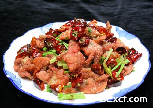 肥肠的作用与功效及食用方法_肥肠的禁忌-我爱下厨房