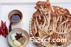 干煸茶树菇的做法