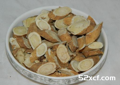 女人补气血的食物有哪些？
