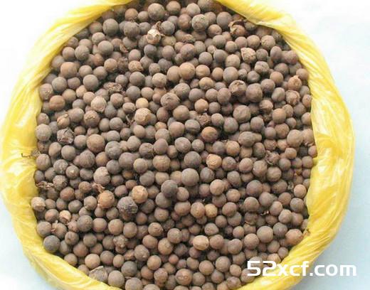 火麻仁的功效与作用及食用方法