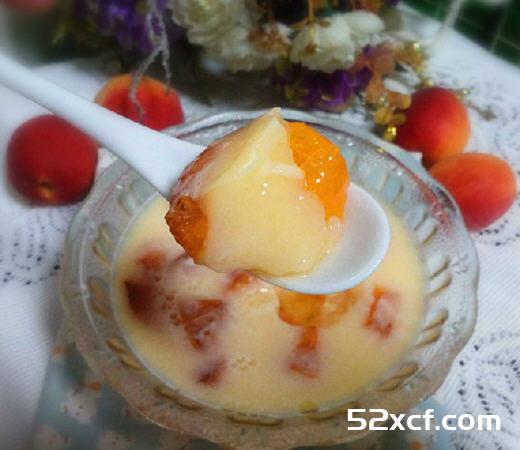 杏子布丁的做法