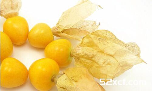 洋姑娘的功效与副作用