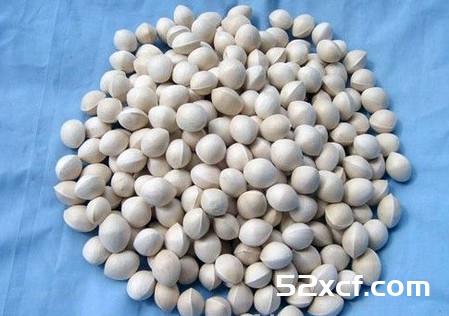 白果的功效与作用