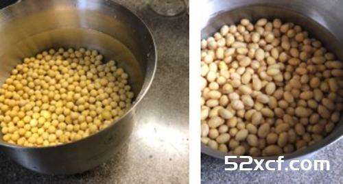 发酵箱做纳豆的方法