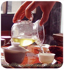 简单的铁观音泡饮方法