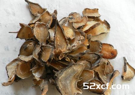 白附子的功效与作用