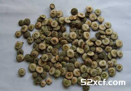 枳实的功效与作用