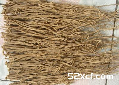 黄芪的功效与作用及食用方法
