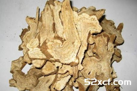 白术的功效与作用
