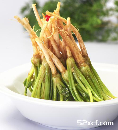 菠菜的根能吃吗