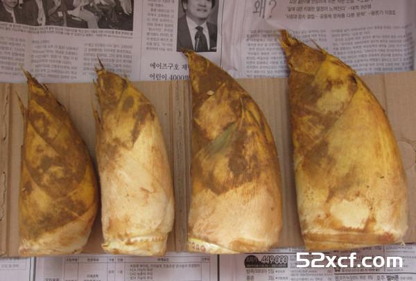怎么样挑选竹笋？辨别竹笋好坏的技巧