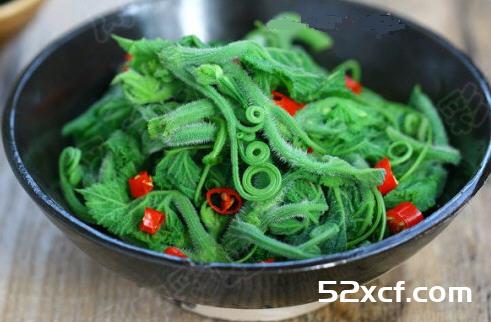 焯拌南瓜尖的做法