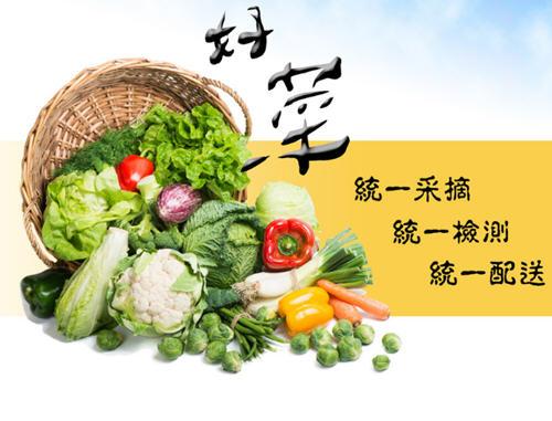 日常饮食中10种天然营养品