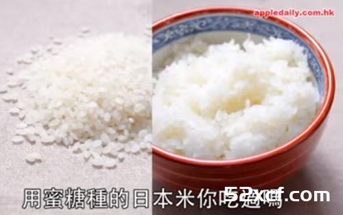饭痴必吃蜜糖种的日本米,灌溉水中加入天然蜂蜜