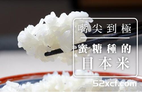饭痴必吃蜜糖种的日本米,灌溉水中加入天然蜂蜜