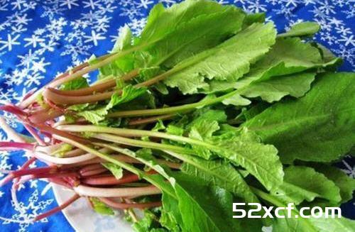 萝卜缨能吃吗？萝卜缨可以吃吗？