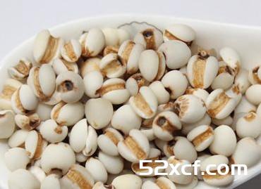 薏苡仁怎么吃