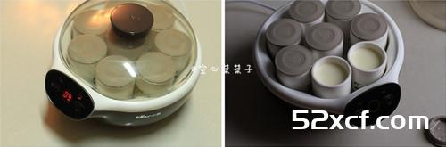 自制特浓酸奶的做法