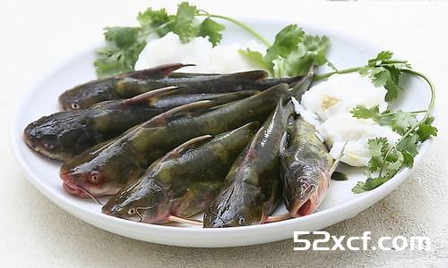 爱鱼之深,恨刺之切“一恨鲥鱼多刺”