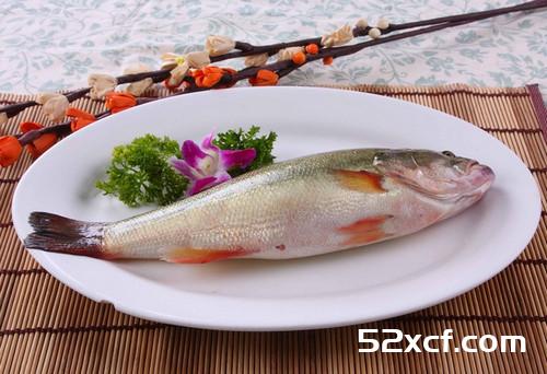 爱鱼之深,恨刺之切“一恨鲥鱼多刺”