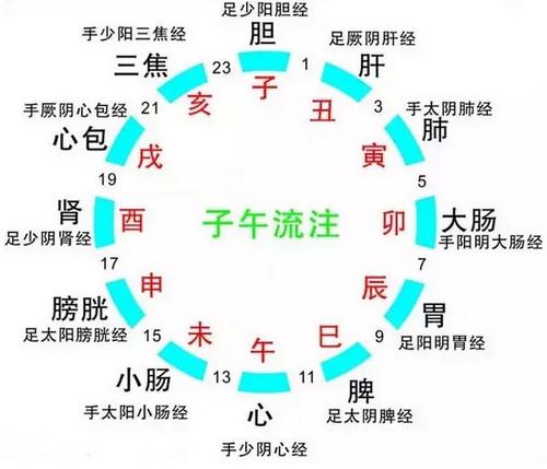 人体最佳的洗澡、睡觉、吃水果、美容时间表