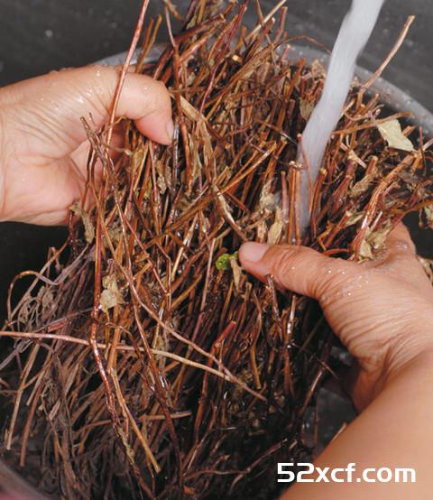 仙草茶的做法_仙草茶怎么煮味道更好喝-我爱下厨房