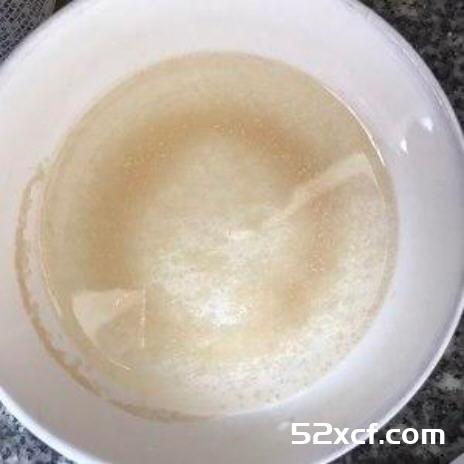 （一次发酵法百分百成功）