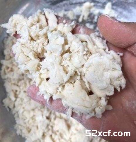 （一次发酵法百分百成功）