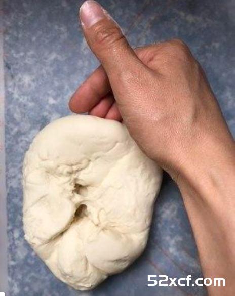 （一次发酵法百分百成功）