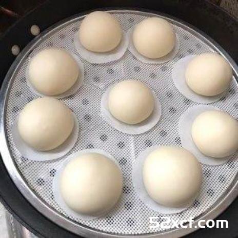 （一次发酵法百分百成功）