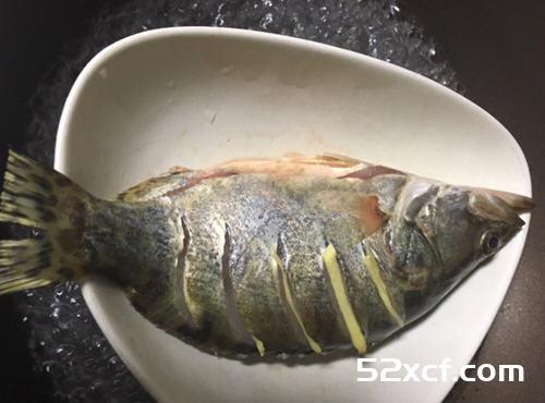 宝宝吃的清蒸桂鱼怎么做