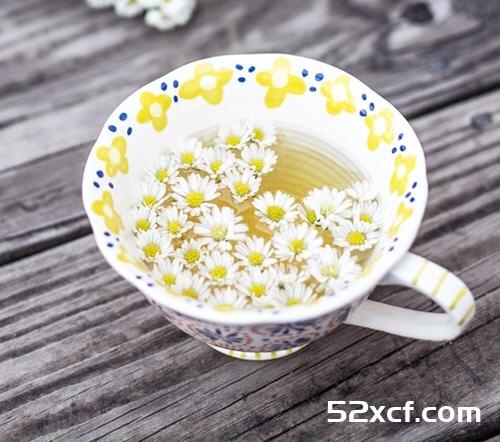 三伏天能喝菊花茶吗