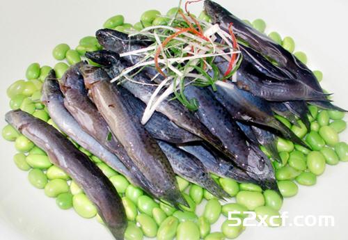 生吃泥鳅可以吗？生吃泥鳅有什么好处？