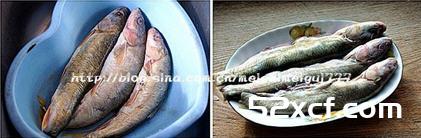 红烧湟鱼的做法