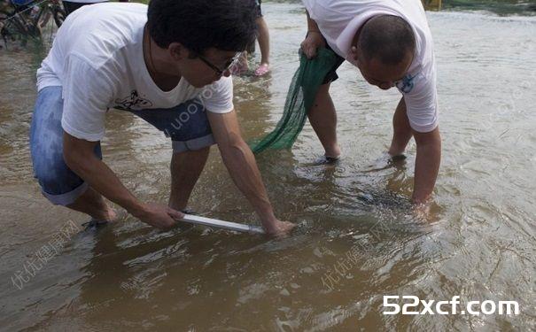 发洪水时的快速抓鱼方法和技巧图解