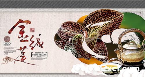 金钱草怎么泡水喝？金钱草泡茶还是煎服好？
