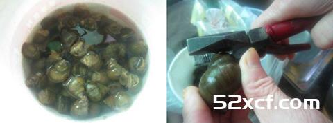 阳朔田螺酿的做法