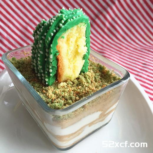 仙人掌木糠杯蛋糕的