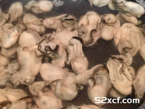 豆豉鲜蚵的做法