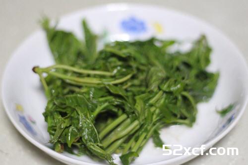 香椿鸡蛋卷的做法