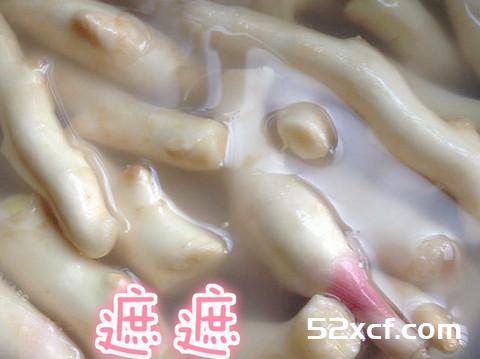 细妹安姜：紫苏姜的做法