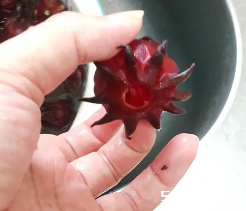 台湾洛神花蜜饯