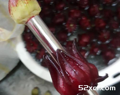 台湾洛神花蜜饯
