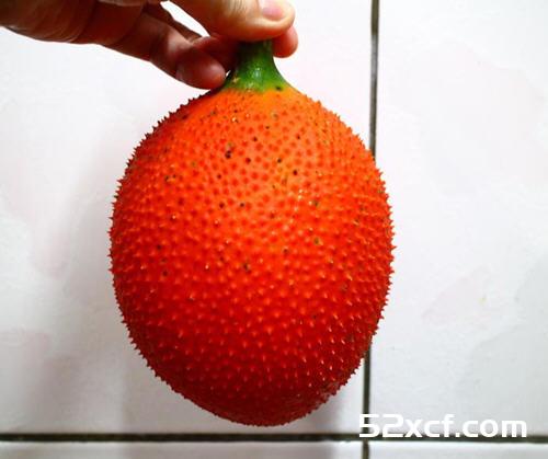 木鳖果炖鸡汤的做法
