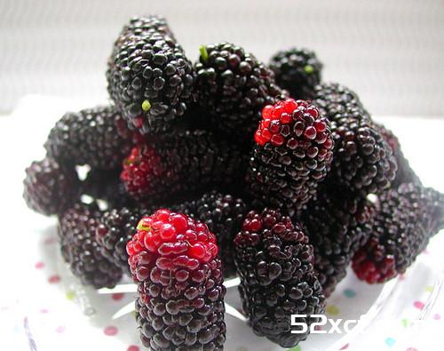 桑椹派的做法_桑椹派怎么做好吃图解-我爱下厨房